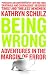 Being Wrong: Adventures in the Margin of Error: The Meaning of Error in an Age of Certainty