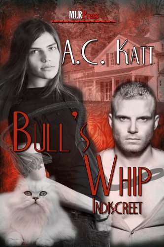 Bull's Whip (Indiscreet Book 4)