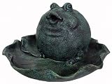 Seasons of Cannon Falls Frog on a Leaf Fountain