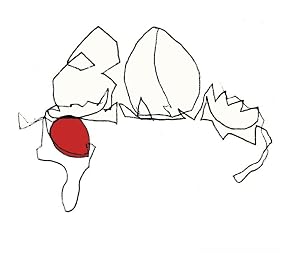 Image de P.L.M.B. (Pathological Lying Mutant Bird)