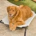 Coolaroo Deluxe Dog Bed - Grey Size - Medium - 43.4L x 25.6W x 8H in.