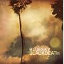 Late Night Cinema ~ Blue Sky Black Death