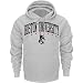 terrier4 - Boston Terriers Grey Champion Powerblend Hood
