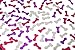 Peckerations Dicksy Dust Party Confetti Naughty Bachelorette Decoration (2)