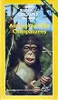 Among the Wild Chimpanzees [VHS]