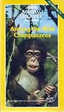 Among the Wild Chimpanzees [VHS]