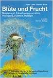 Bl&uuml;te und Frucht: Aspekte der Morphologie, Entwicklungsgeschichte, Phylogenie, Funktion und &Ouml;kologie - Peter Leins, Claudia Erbar