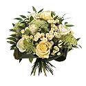 Blumenstrauß 'Strauß' Maxi Frisch vom Floristen vor Ort mit weißen Rosen und weißen Ammis