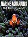 Marine Aquariums - The Beginners Guide
