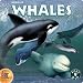 World of Animals: Whales [Download]
