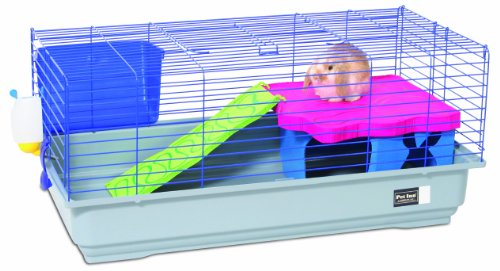 Pet Inn Banny 2 Plus House for Small Rabbit and Guinea Pig
