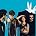 Guillemots