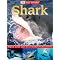 Shark Fun!