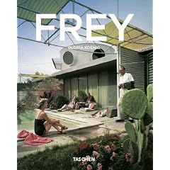 Albert Frey 1903-1998: Lebendige W�stenarchitektur