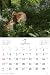2011年カレンダー ニッポンの犬