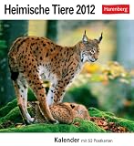Produkt-Bild: Heimische Tiere 2012. Postkartenkalender: Kalender mit 53 Postkarten