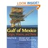 Gulf of Mexico Origin, Waters, and Biota: Volume 2, Ocean and Coastal Economy (Harte Research Institute for Gulf of Mexico Studies Series)