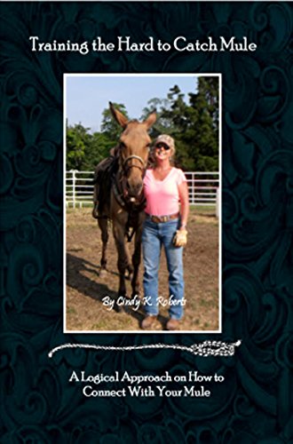 Training the Hard to Catch Mule: A Logical Approach on How to Connect With Your Mule