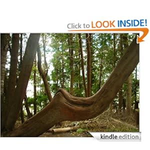 Purchase The King and the Willow for Kindle
