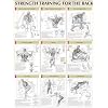 Strength Training Anatomy: Strength Training for the Back Poster