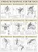 Strength Training Anatomy: Strength Training for the Back Poster
