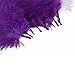 Leegoal Home Decor Purple Ostrich Feathers 10-15cm