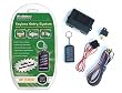 Bulldog Keyless Entry System