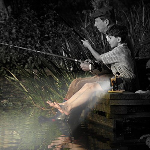 Imagen 5 de Aglaia 0