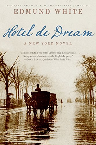 hotel de dream a new york novel