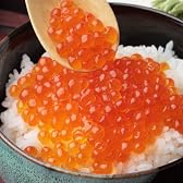 SHUEI 手造り 北海道産いくら醤油漬け(500g)