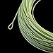 Piscifun Sword Fly Fishing Line with Welded Loop, Weight Forward Floating Fly Line, WF8wt, 100FT, Moss Green