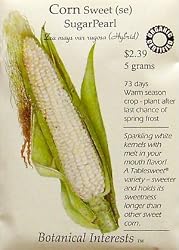Sweet Corn Sugar Pearl Certified Organic Seeds 30 Seeds