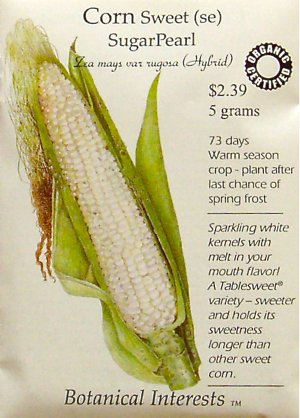 Sweet Corn Sugar Pearl Certified Organic Seeds 30 Seeds