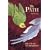 The Path: Sufi Practices