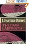 The Dark Labyrinth