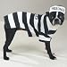 Casual Canine Prison Pooch Halloween Costume for Dog/Puppy- Small