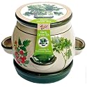 Buzzy Porcelain Kitchen Herbs Grow Kit