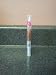 2012 Designer Skin Lip Shimmer Mocha Chica Click Pen .046oz (1 Pen)