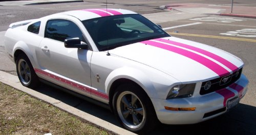 05-07 FORD MUSTANG PINK 10 VINYL RACING STRIPE KIT