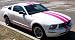 05-07 FORD MUSTANG PINK 10" VINYL RACING STRIPE KIT