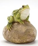 from Gardman Frog On A Stone