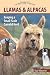 Llamas and Alpacas: Small-scale Herding for Pleasure and Profit (Hobby Farm)