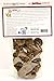 Sams Yams Sweet Potato Dog Treats, Healthy Dog Treats for Large, Medium or Small Breed Dogs, Vegan Sweet Potato Dog Chews Made in USA - Sam's Yams DAILY's Berry Yammy Recipe Dog Snacks, 7oz