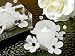 Black & White Crystals Flower Candle Holder - Set of 24
