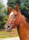 Knotenhalfter fr die Bodenarbeit | Horsemanship
