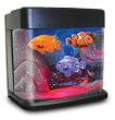 Fascinations DeskQuarium