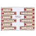 84 Pcs Dental Complete Acrylic Resin Denture False Teeth 3 Sets Synthetic Polymer Resin Denture Teeth 23 A2 Upper + Lower Dental Materials