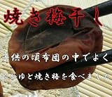 紀州産南高梅を焼きました580ｇ