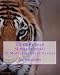 Tiger Purple Slash Sudoku: 80 Moderate Sudoku Puzzles