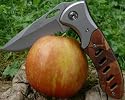JIN TENG ® Jagdmesser "DESERT WOOD" Taschenmesser Klappmesser mit Gürtelclip